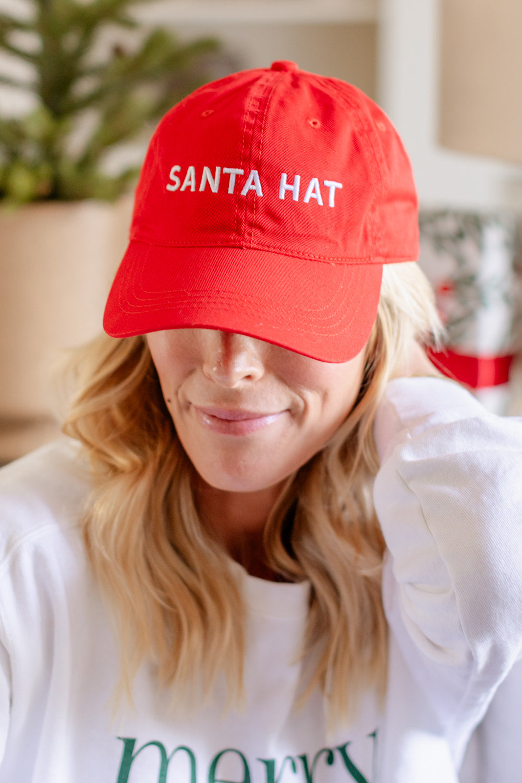 Santa Hat PREORDER